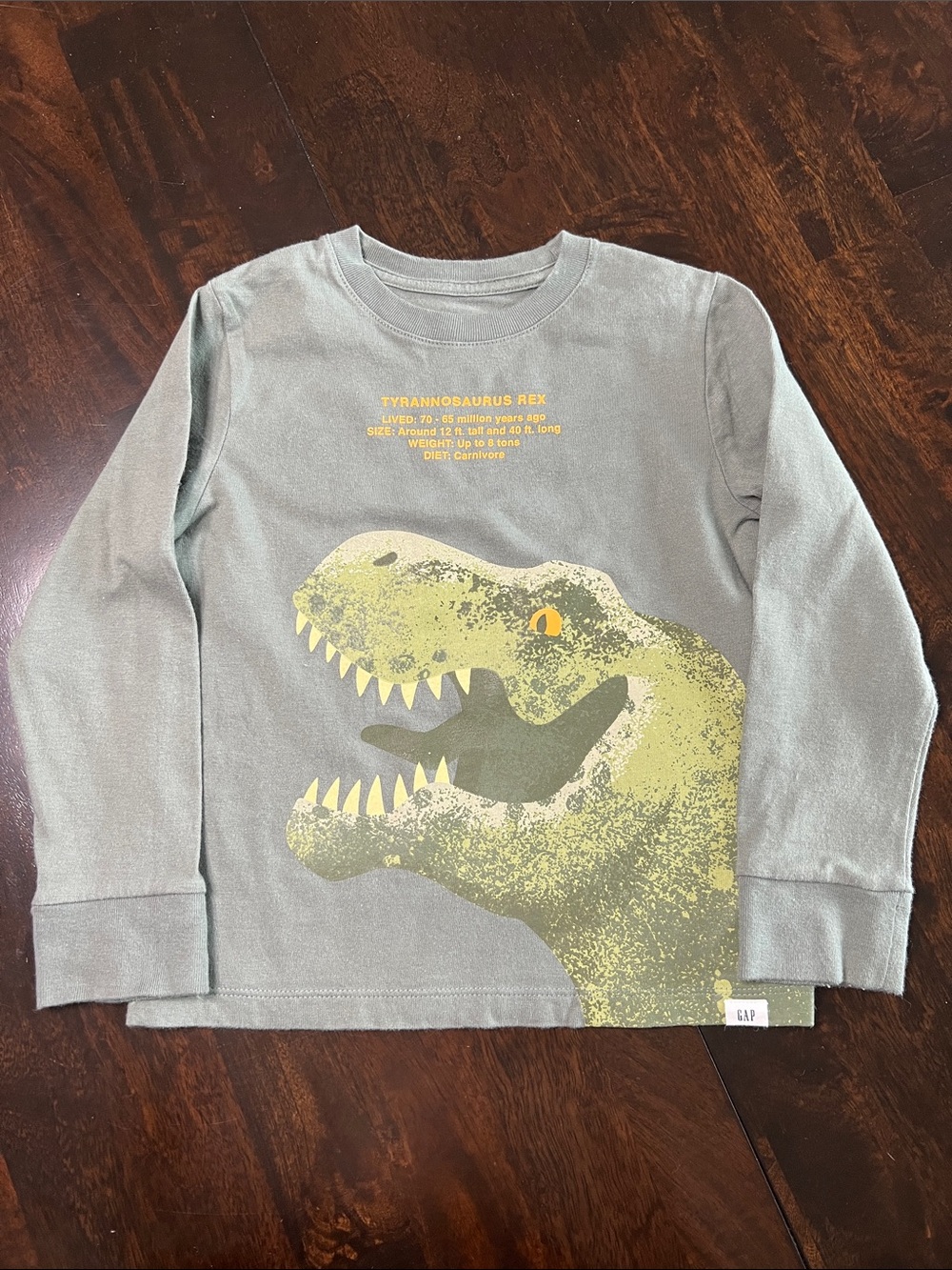 GAP Olive Green Long-Sleeve Tee with Yellow Dino Graphic